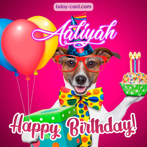 Greeting photos for Aaliyah with Jack Russal Terrier