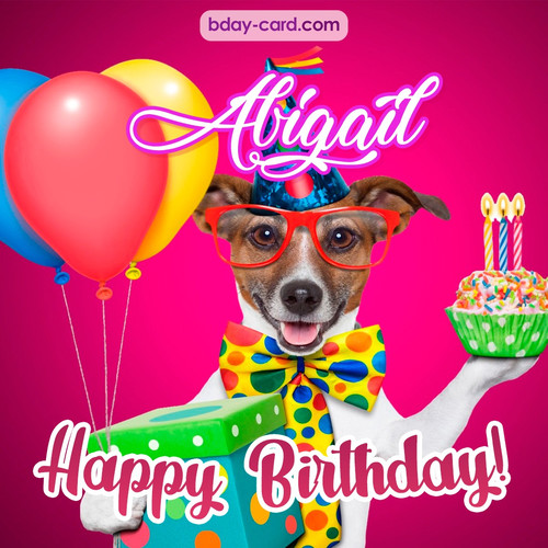 Greeting photos for Abigail with Jack Russal Terrier