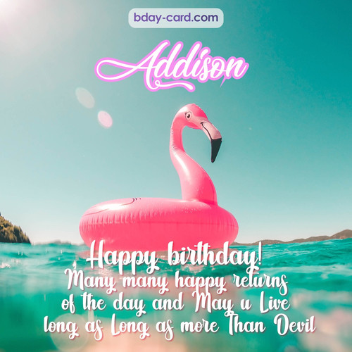 Happy Birthday pic for Addison with flamingo