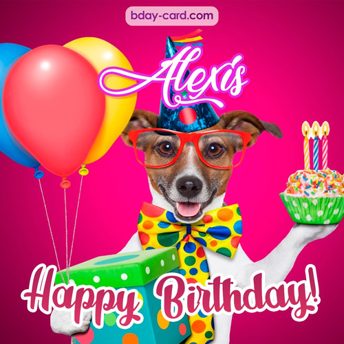 Greeting photos for Alexis with Jack Russal Terrier