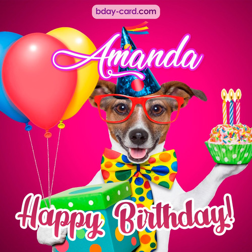 Greeting photos for Amanda with Jack Russal Terrier
