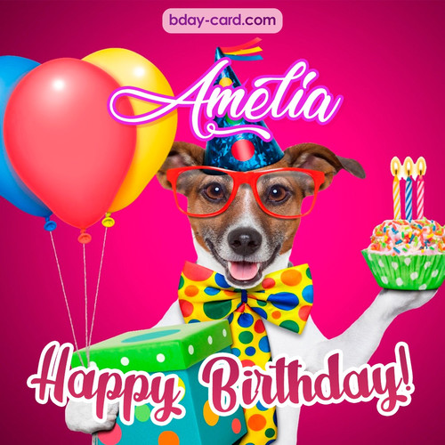 Greeting photos for Amelia with Jack Russal Terrier
