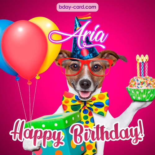 Greeting photos for Aria with Jack Russal Terrier