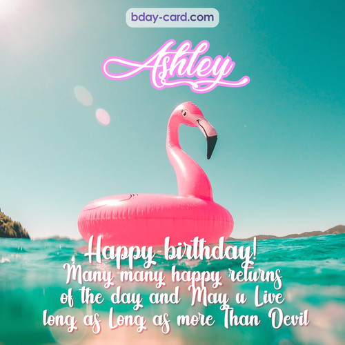 Happy Birthday pic for Ashley with flamingo