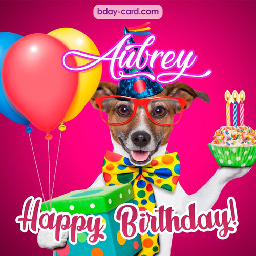 Greeting photos for Aubrey with Jack Russal Terrier