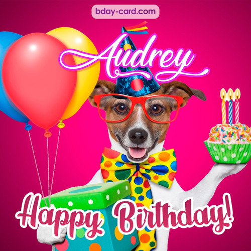 Greeting photos for Audrey with Jack Russal Terrier