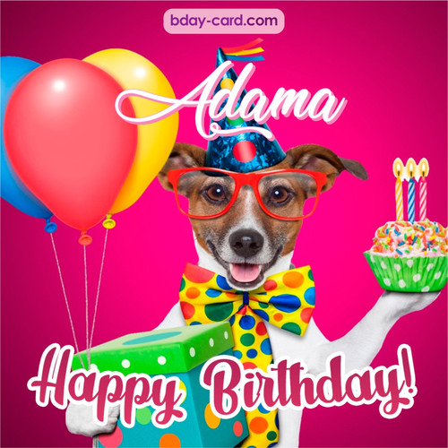Greeting photos for Adama with Jack Russal Terrier