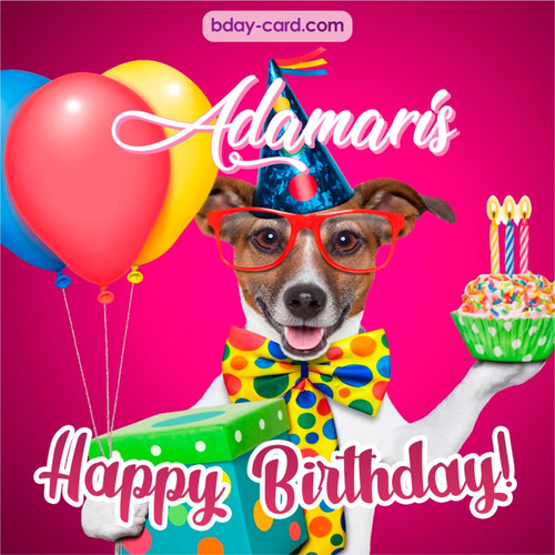 Greeting photos for Adamaris with Jack Russal Terrier