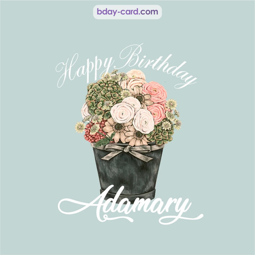 Birthday pics for Adamary with Bucket of flowers