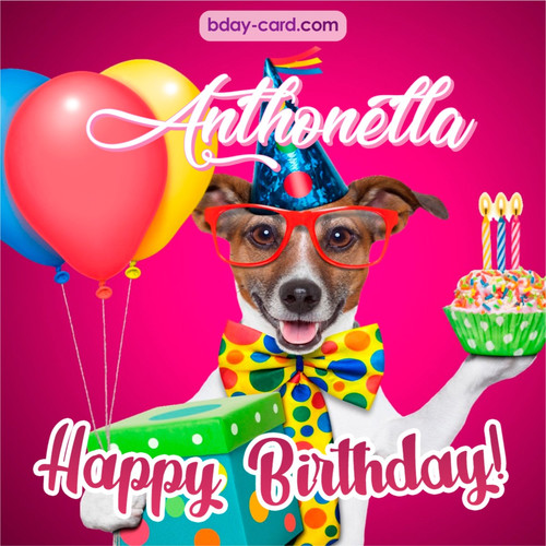 Greeting photos for Anthonella with Jack Russal Terrier