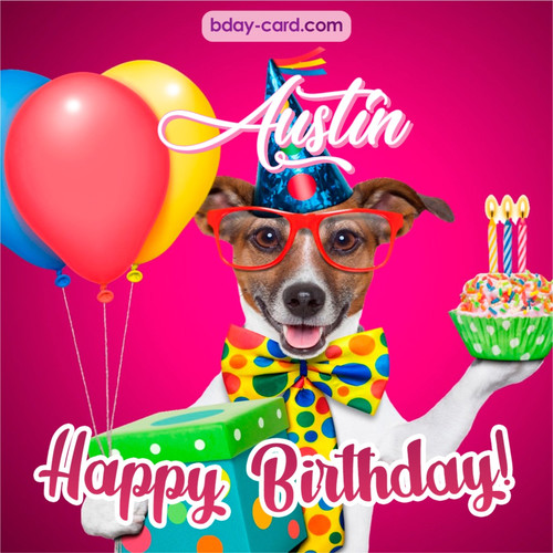 Greeting photos for Austin with Jack Russal Terrier