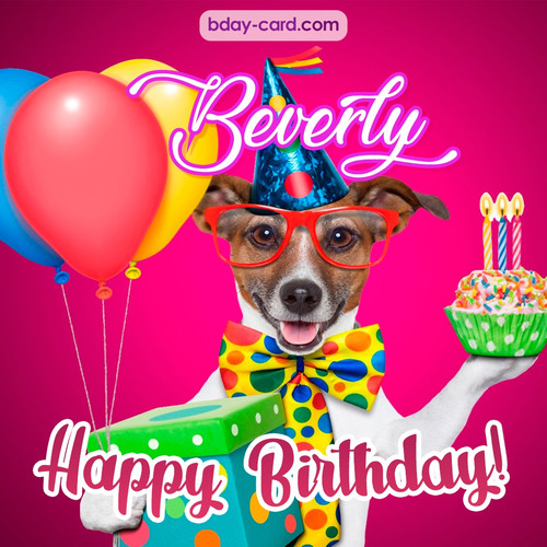 Greeting photos for Beverly with Jack Russal Terrier