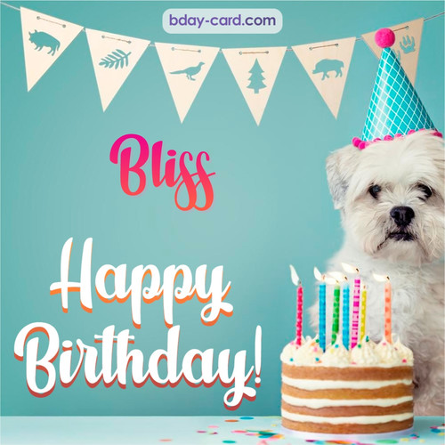 Happiest Birthday pictures for Bliss with Dog