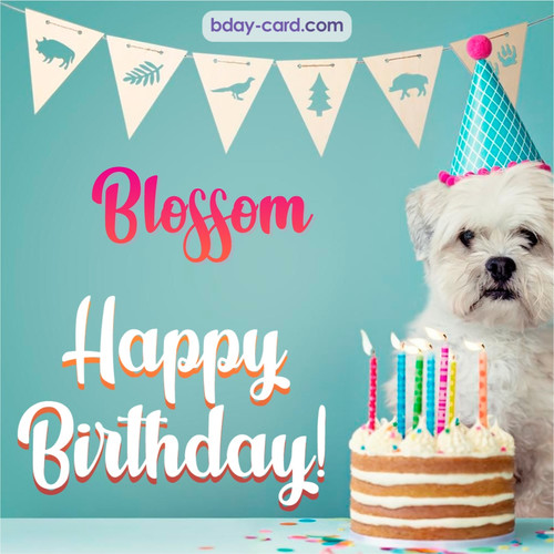 Happiest Birthday pictures for Blossom with Dog