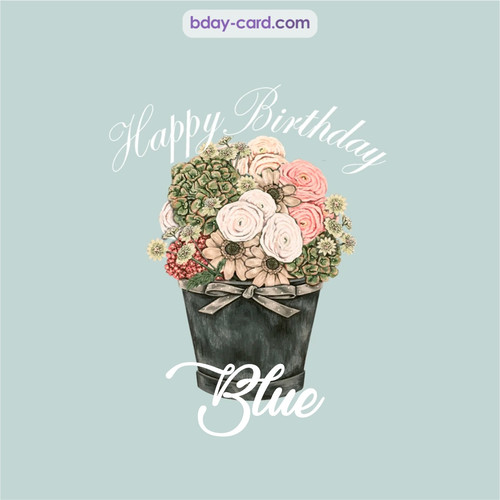 Birthday pics for Blue with Bucket of flowers
