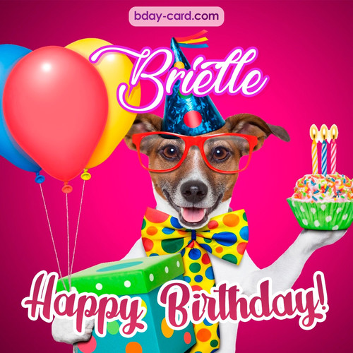 Greeting photos for Brielle with Jack Russal Terrier