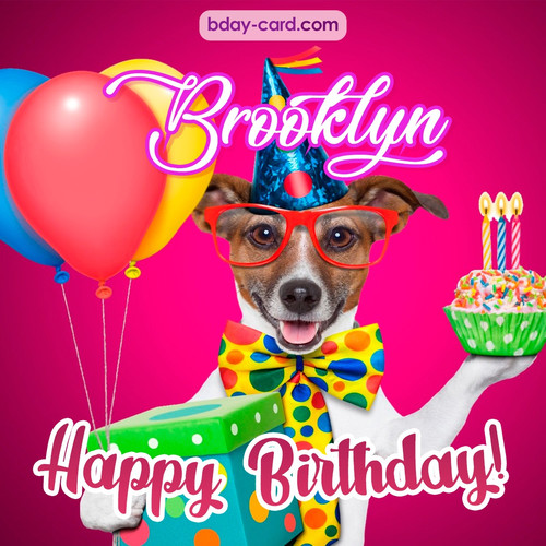 Greeting photos for Brooklyn with Jack Russal Terrier