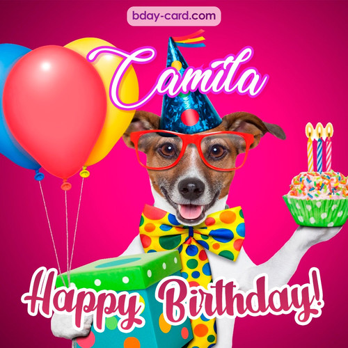 Greeting photos for Camila with Jack Russal Terrier