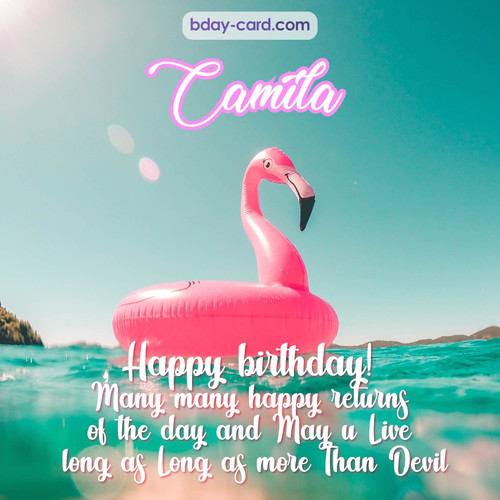 Happy Birthday pic for Camila with flamingo