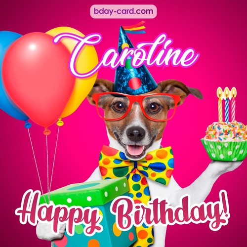 Greeting photos for Caroline with Jack Russal Terrier