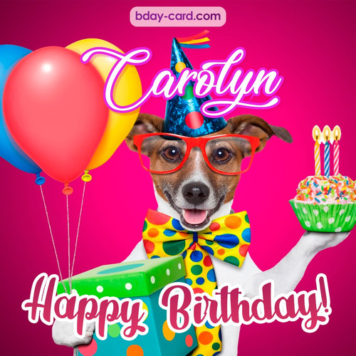 Greeting photos for Carolyn with Jack Russal Terrier