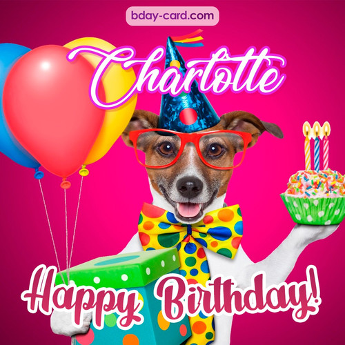 Greeting photos for Charlotte with Jack Russal Terrier