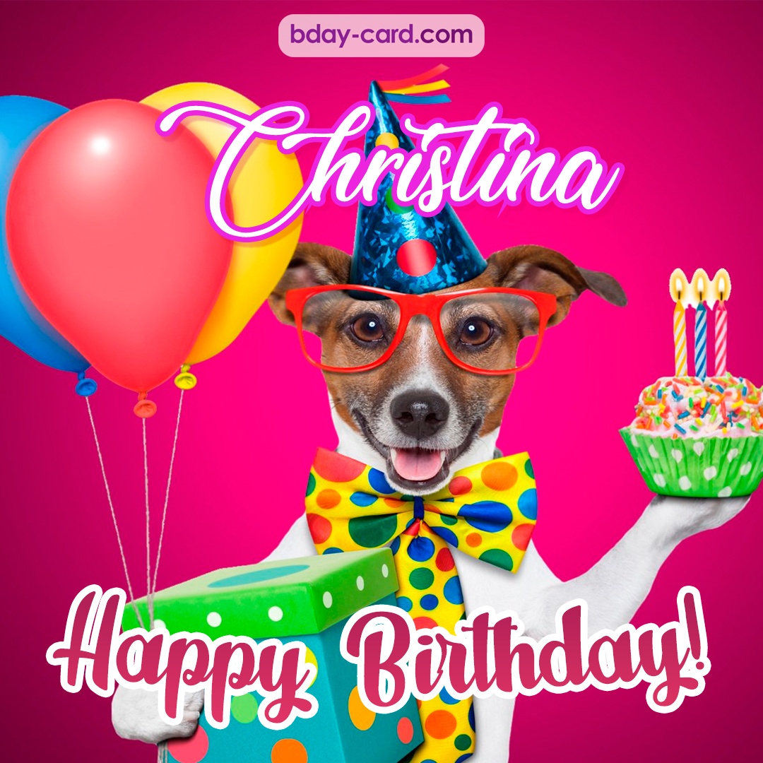 Greeting photos for Christina with Jack Russal Terrier