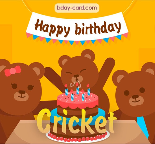 Bday images for Cricket with bears