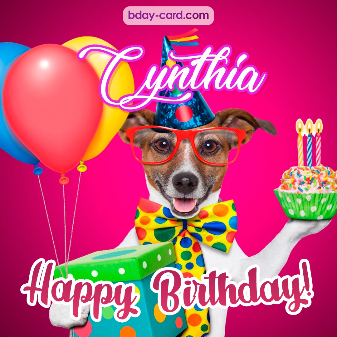 Greeting photos for Cynthia with Jack Russal Terrier