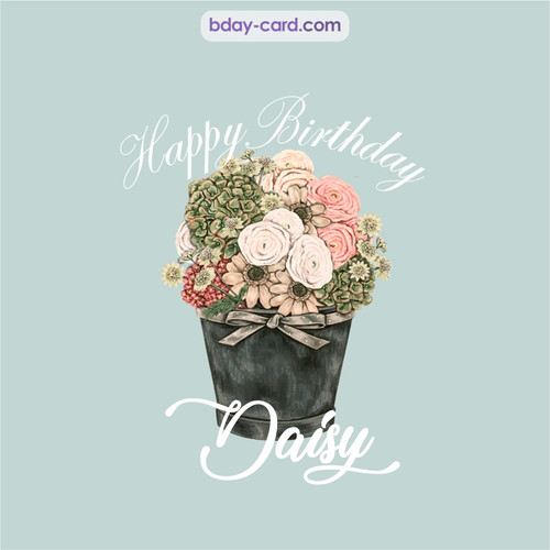 Birthday pics for Daisy with Bucket of flowers
