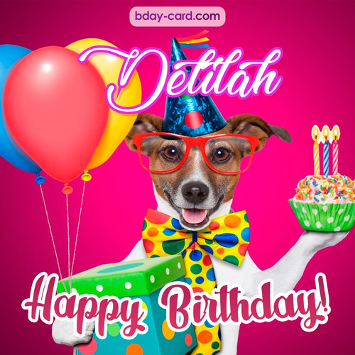 Greeting photos for Delilah with Jack Russal Terrier