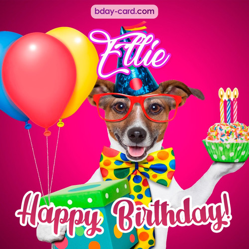 Greeting photos for Ellie with Jack Russal Terrier