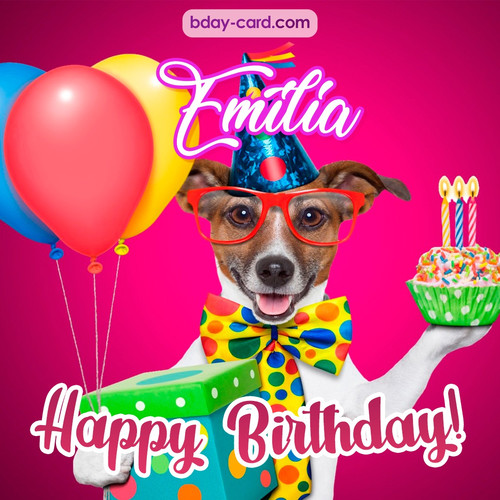 Greeting photos for Emilia with Jack Russal Terrier
