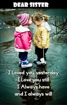 10 Beautiful sibling picture with quotes