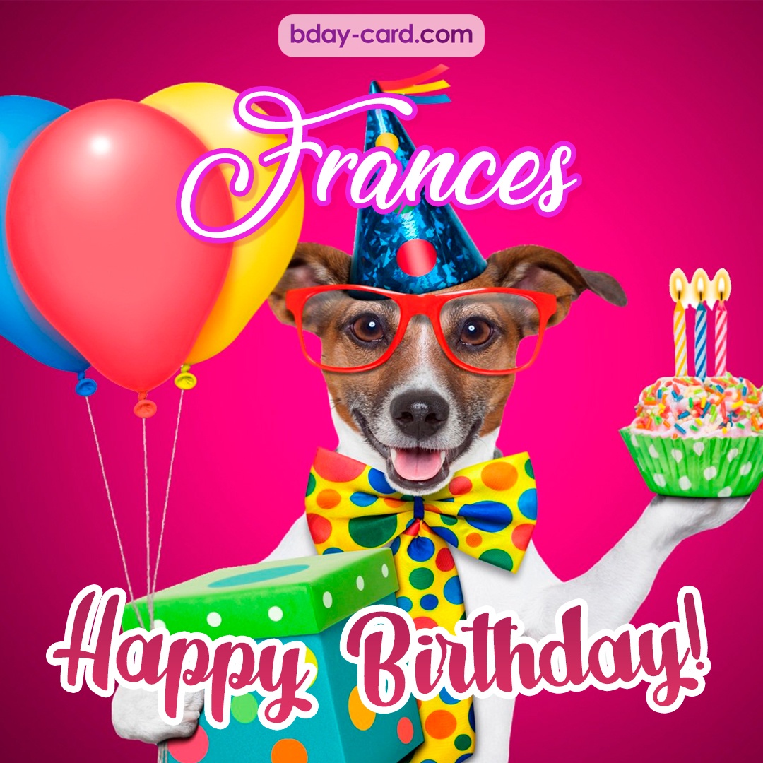 Greeting photos for Frances with Jack Russal Terrier