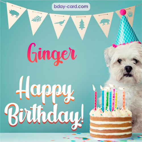 Happiest Birthday pictures for Ginger with Dog