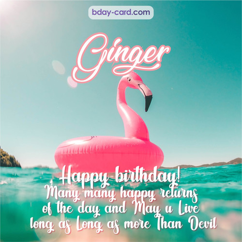 Happy Birthday pic for Ginger with flamingo