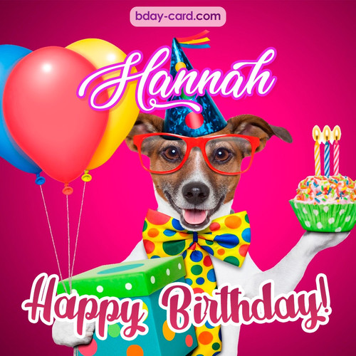 Greeting photos for Hannah with Jack Russal Terrier