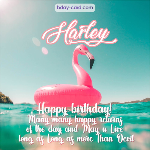 Happy Birthday pic for Harley with flamingo