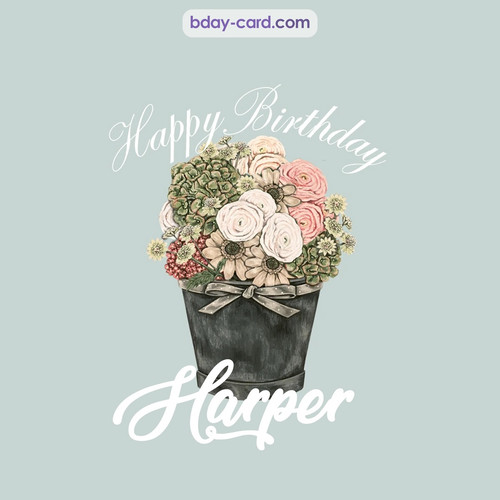 Birthday pics for Harper with Bucket of flowers