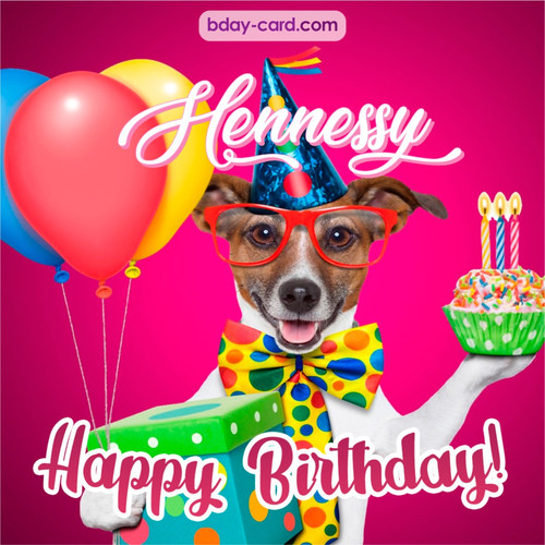 Greeting photos for Hennessy with Jack Russal Terrier