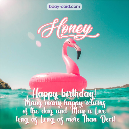 Happy Birthday pic for Honey with flamingo