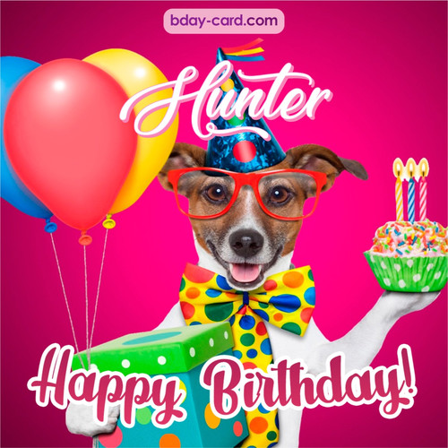 Greeting photos for Hunter with Jack Russal Terrier