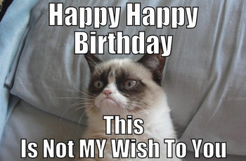 Funny angry grumpy cat memes collection for friends family