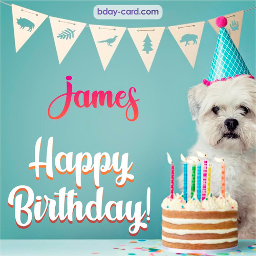 Happiest Birthday pictures for James with Dog