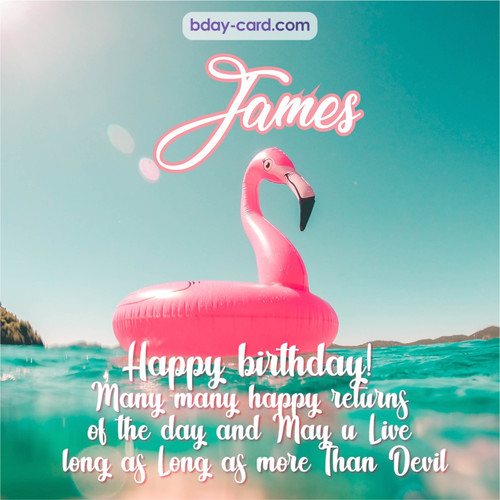 Happy Birthday pic for James with flamingo