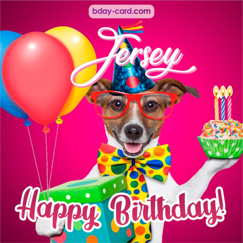 Greeting photos for Jersey with Jack Russal Terrier