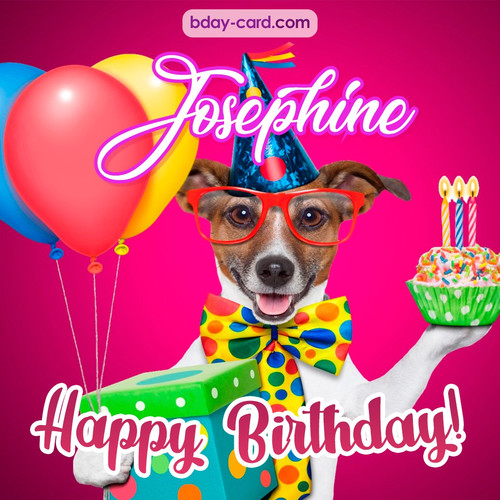 Greeting photos for Josephine with Jack Russal Terrier
