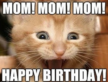 Screaming cat happy birthday mom meme1
