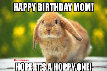 Happy birthday mom memes chrismiss greetings and wishes
